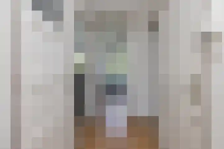 Asmansweg 84 A Den Haag thumbnail 16