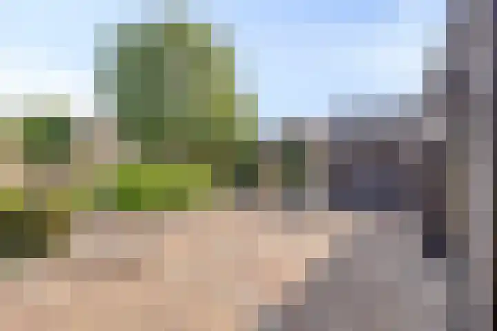 Asmansweg 84 A Den Haag thumbnail 27