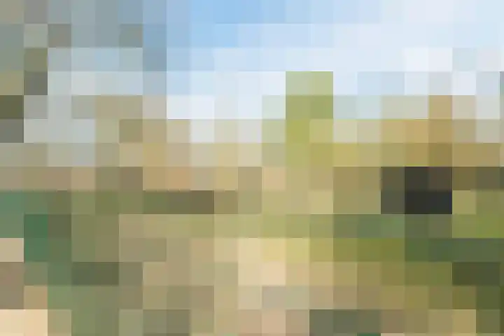 Asmansweg 84 A Den Haag thumbnail 34