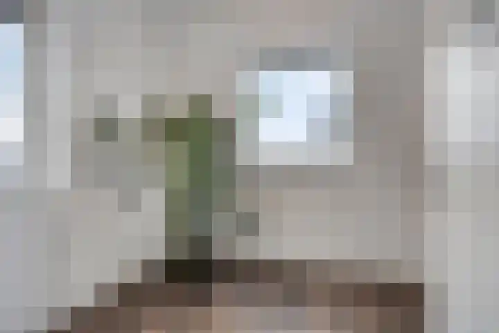 Asperge 20 Helden thumbnail 19