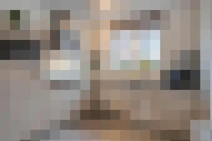 Asperge 20 Helden thumbnail 4