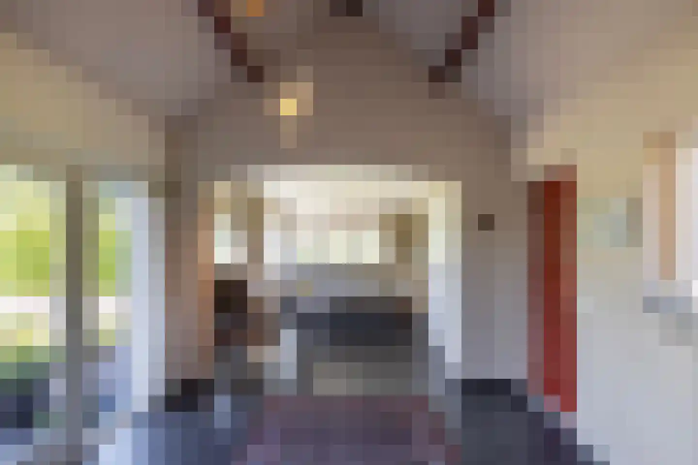 Asschatterweg 52 Leusden thumbnail 12