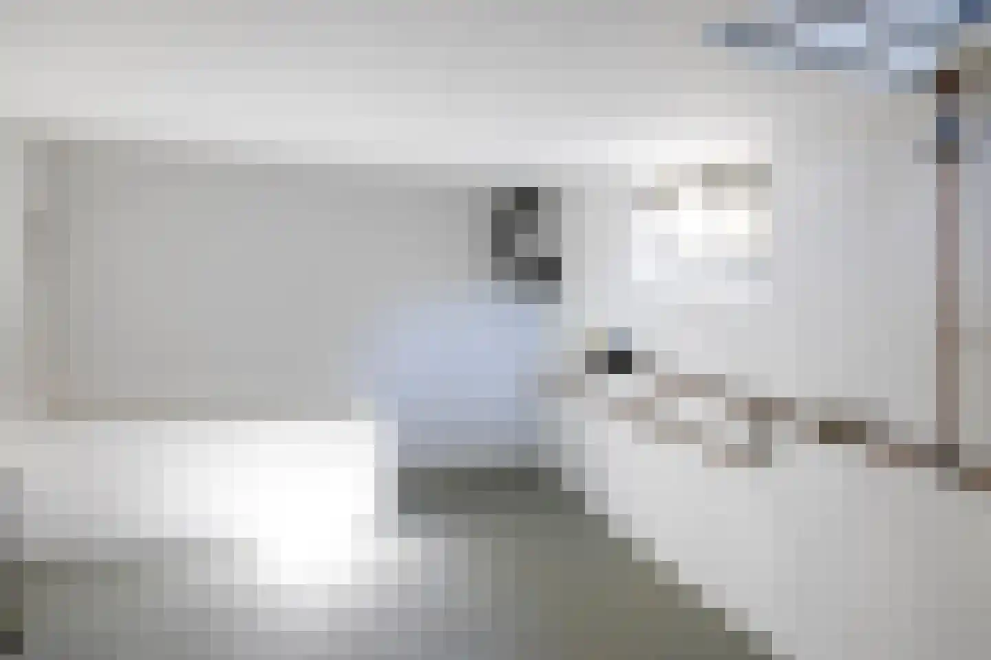 Asschatterweg 52 Leusden thumbnail 17