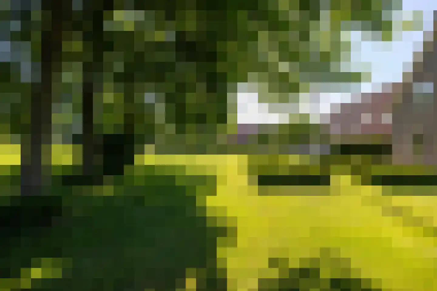 Asschatterweg 52 Leusden thumbnail 48