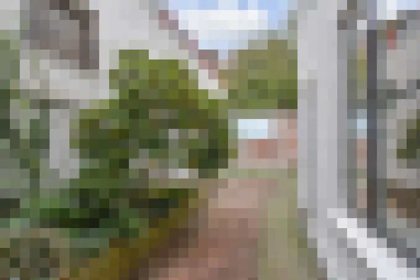 Assendelftstraat 30 Den Haag thumbnail 22