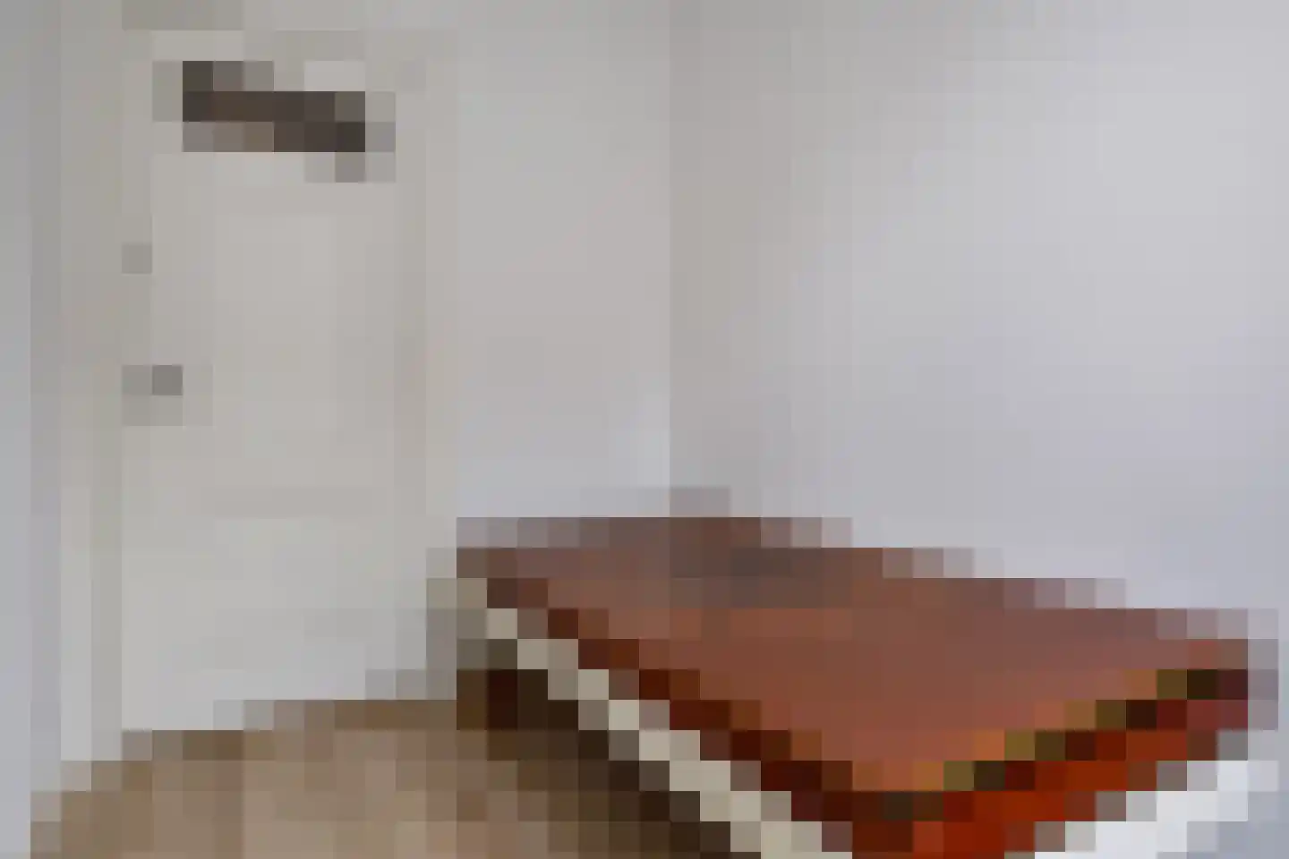 Assendelftstraat 32 Den Haag thumbnail 31