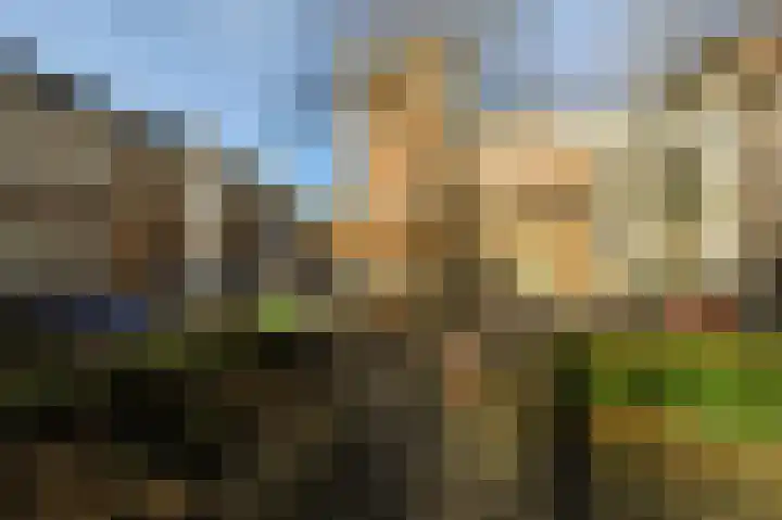 Assendelftstraat 54 Den Haag thumbnail 34