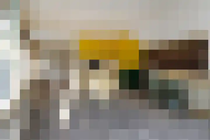 Assendelftstraat 54 Den Haag thumbnail 5