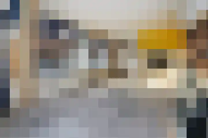 Assendelftstraat 54 Den Haag thumbnail 6
