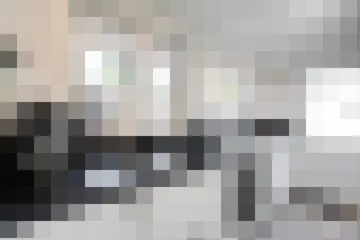 Assendorperdijk 26 Zwolle thumbnail 10