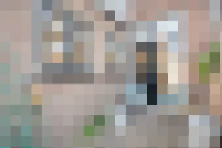 Assendorperdijk 26 Zwolle thumbnail 22