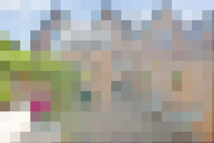 Assendorperdijk 26 Zwolle thumbnail 23