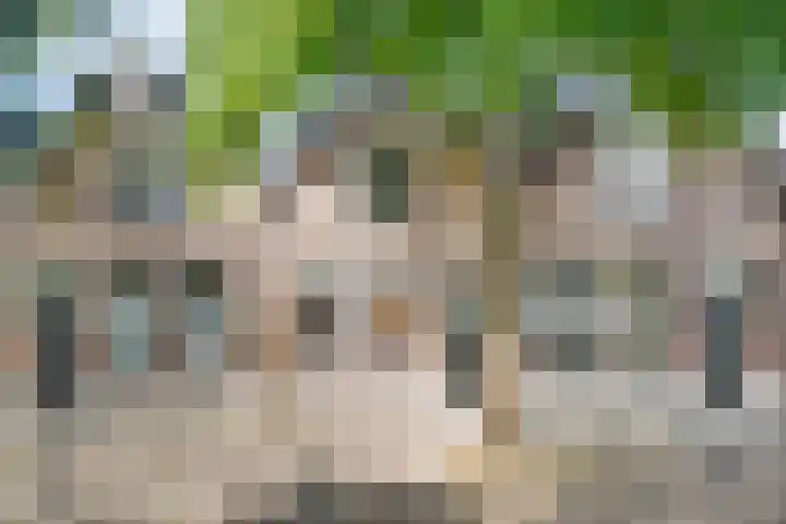 Assendorperdijk 26 Zwolle thumbnail 34