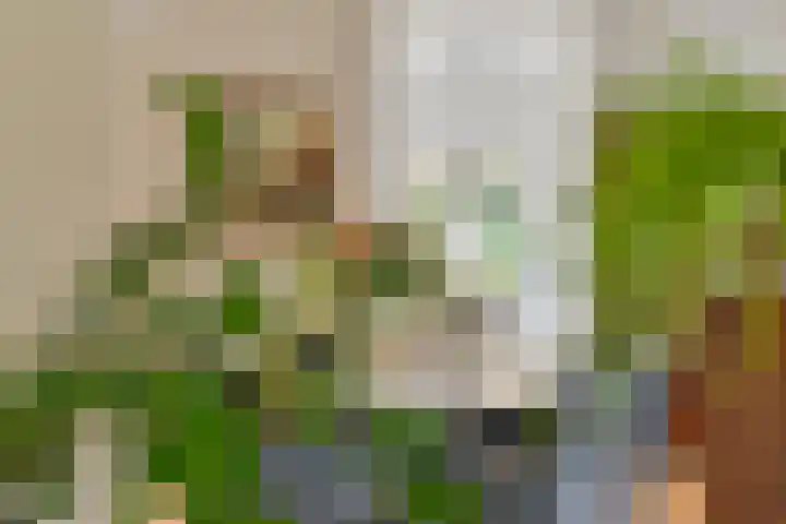 Asserbrink 2 Emmen thumbnail 19
