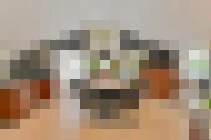 Asserbrink 2 Emmen thumbnail 21