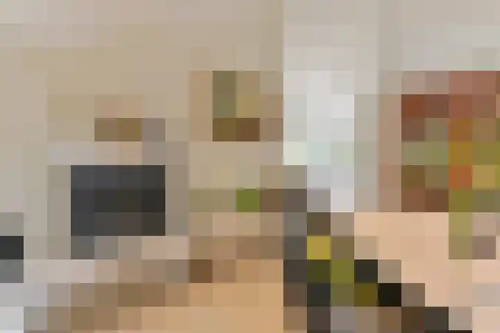 Asserbrink 2 Emmen thumbnail 26