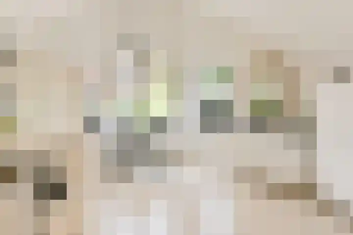Asserbrink 2 Emmen thumbnail 28
