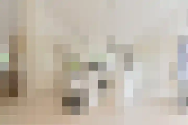 Asserbrink 2 Emmen thumbnail 31