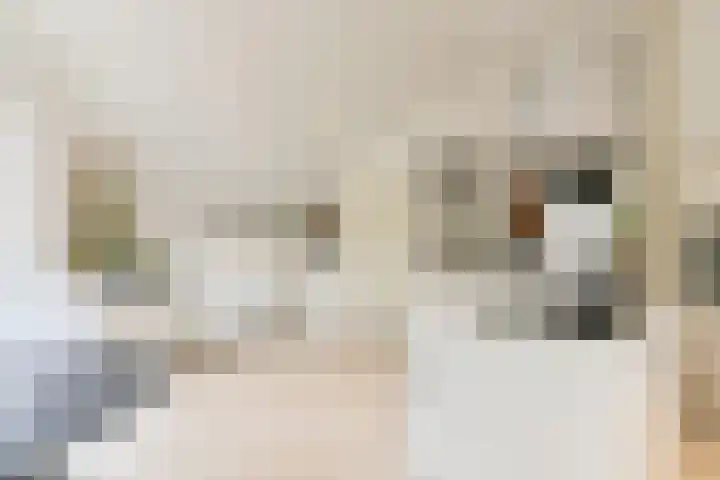 Asserbrink 2 Emmen thumbnail 35