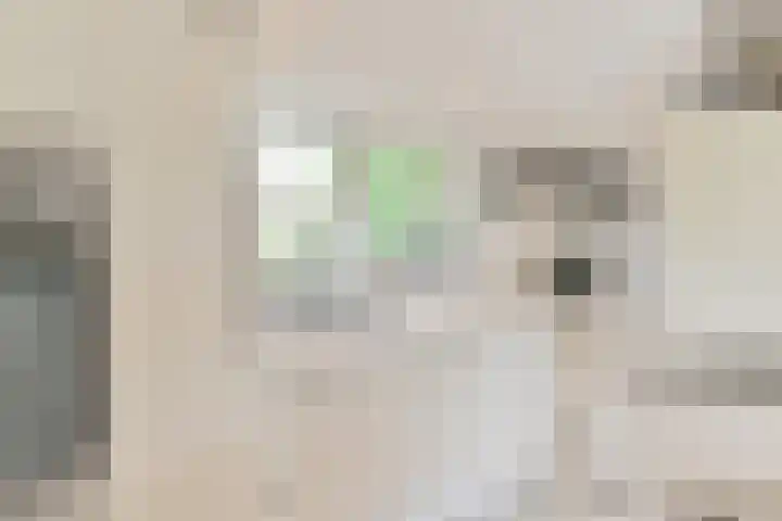 Asserbrink 2 Emmen thumbnail 37