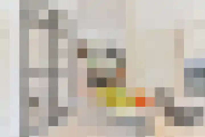 Asserbrink 2 Emmen thumbnail 39