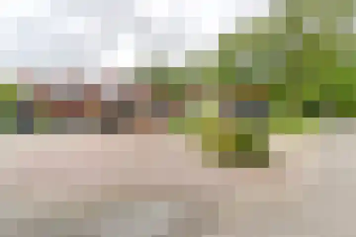 Asserbrink 2 Emmen thumbnail 4