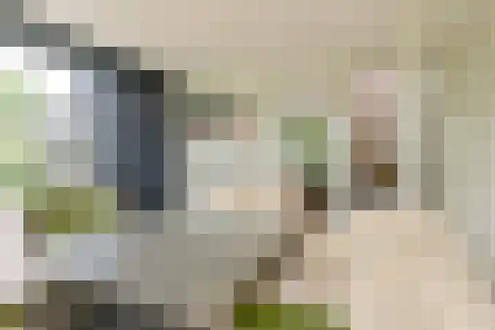 Asserbrink 2 Emmen thumbnail 43