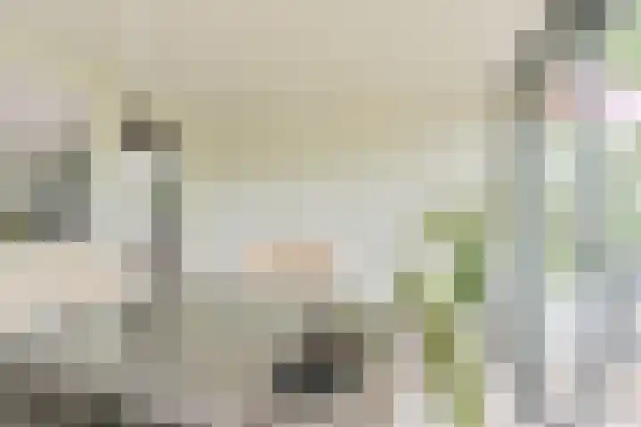 Asserbrink 2 Emmen thumbnail 44
