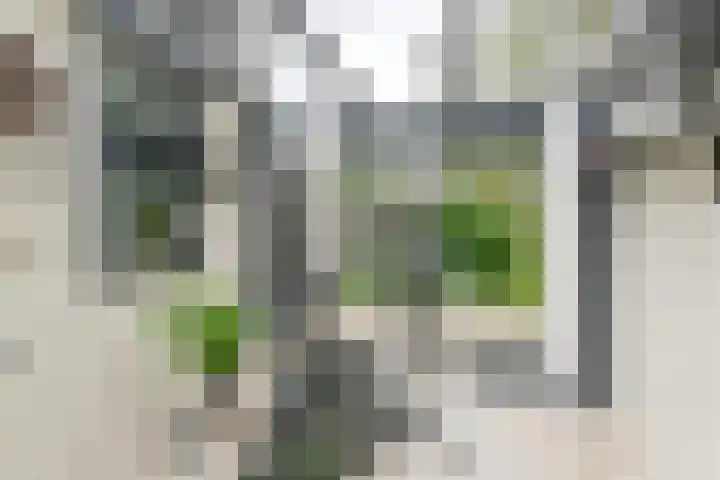 Asserbrink 2 Emmen thumbnail 45