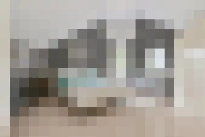 Asserbrink 2 Emmen thumbnail 48