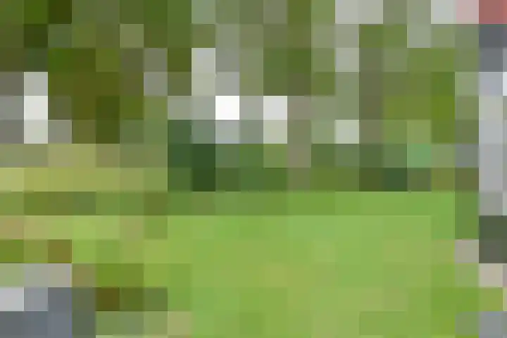 Asserbrink 2 Emmen thumbnail 67