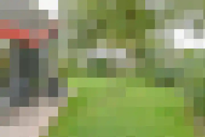 Asserbrink 2 Emmen thumbnail 72