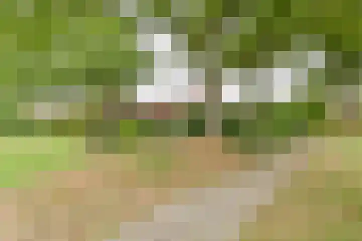 Asserbrink 2 Emmen thumbnail 80