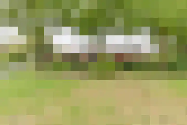 Asserbrink 2 Emmen thumbnail 81