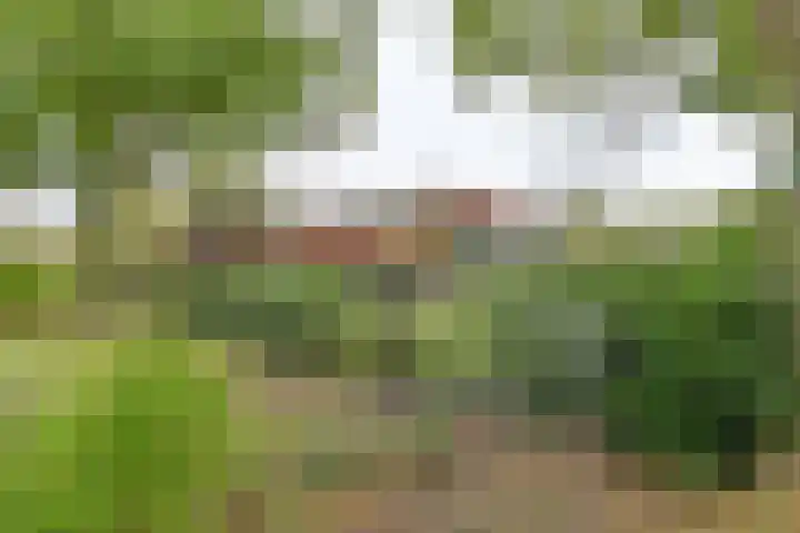 Asserbrink 2 Emmen thumbnail 82