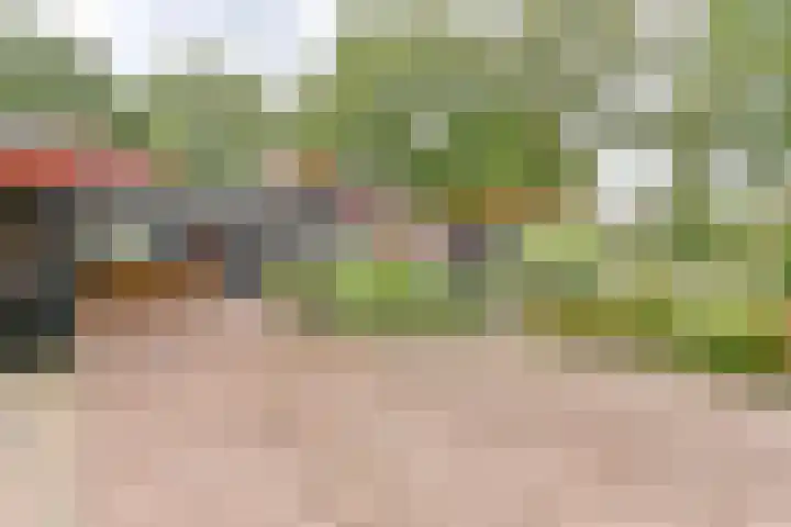 Asserbrink 2 Emmen thumbnail 84