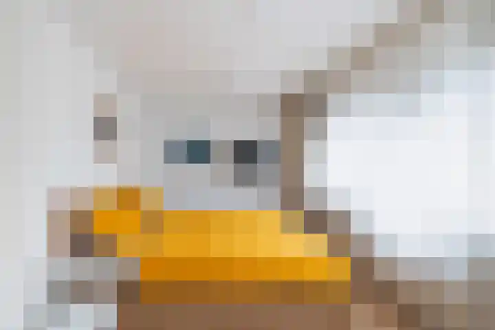 Asserdreef 11 Maassluis thumbnail 19