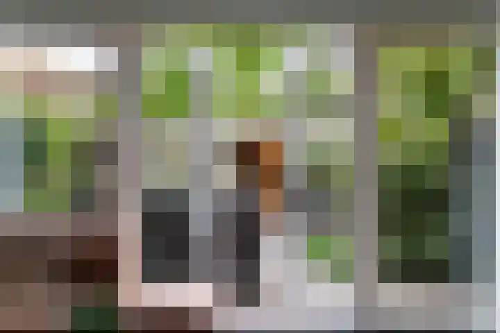 Asserdreef 25 Maassluis thumbnail 20