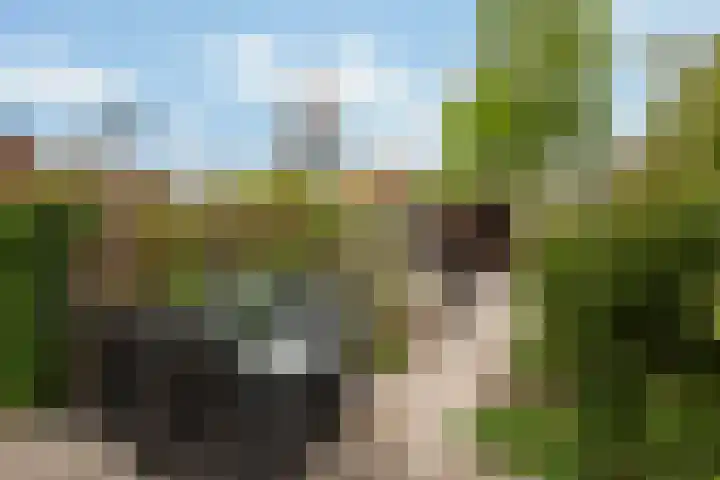 Asserdreef 25 Maassluis thumbnail 22