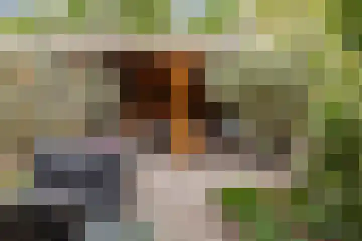 Asserdreef 25 Maassluis thumbnail 24