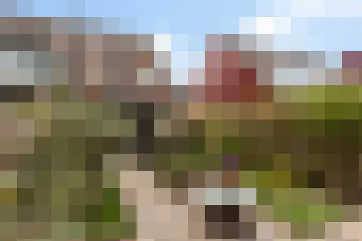 Asserdreef 25 Maassluis thumbnail 27