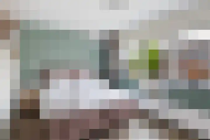 Asserdreef 25 Maassluis thumbnail 32