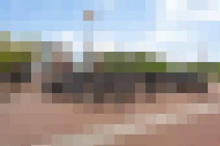 Asserdreef 25 Maassluis thumbnail 44