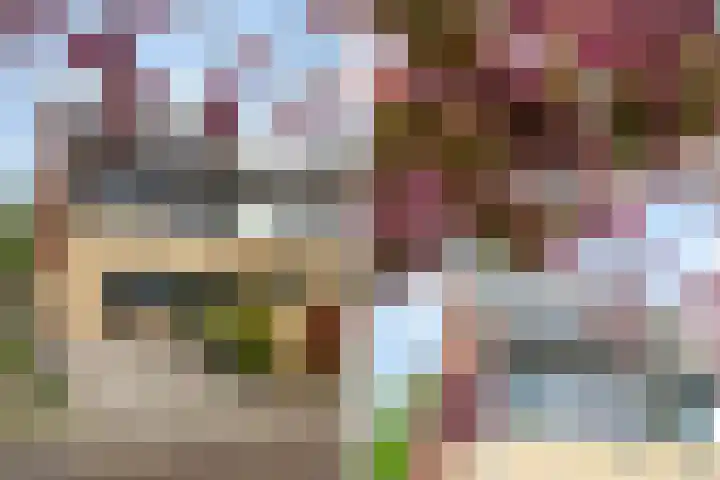Asserdreef 25 Maassluis thumbnail 8