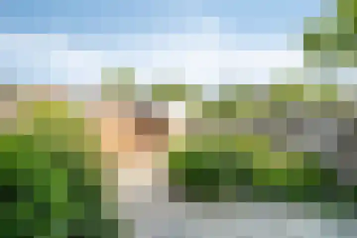 Asserdreef 51 Maassluis thumbnail 13