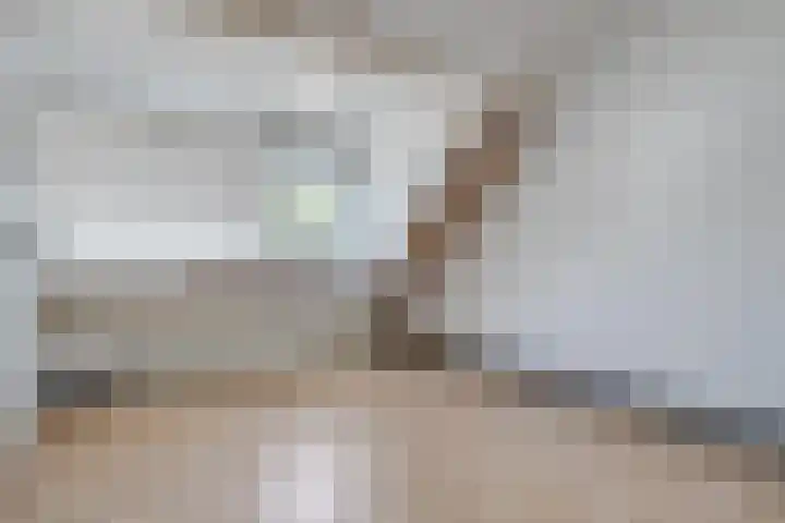 Asserdreef 51 Maassluis thumbnail 20