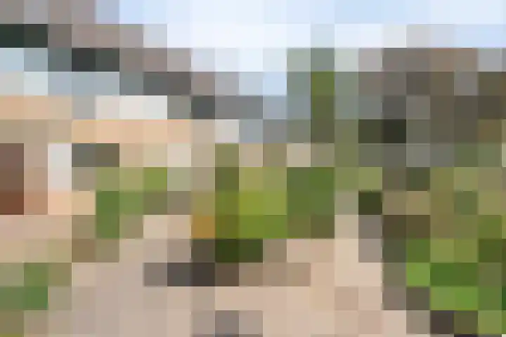 Asserdreef 51 Maassluis thumbnail 5