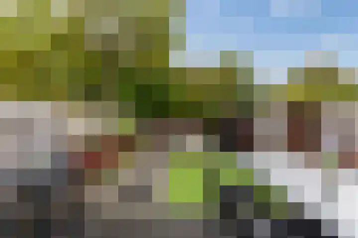 Asserdreef 62 Maassluis thumbnail 26