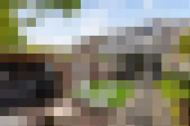 Asserdreef 62 Maassluis thumbnail 28