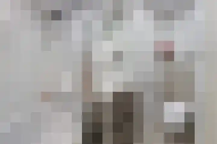 Asserdreef 62 Maassluis thumbnail 39